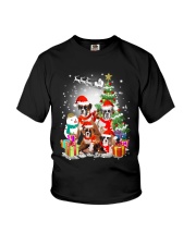 Boxer Family Xmas Youth T-Shirt thumbnail