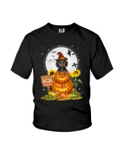 Dachshund Pumpkin 1008 Youth T-Shirt thumbnail