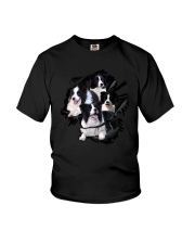 Collie Scratch Youth T-Shirt thumbnail