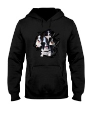 Collie Scratch Hooded Sweatshirt thumbnail