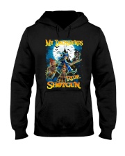 Dachshunds Shotgun Hooded Sweatshirt thumbnail