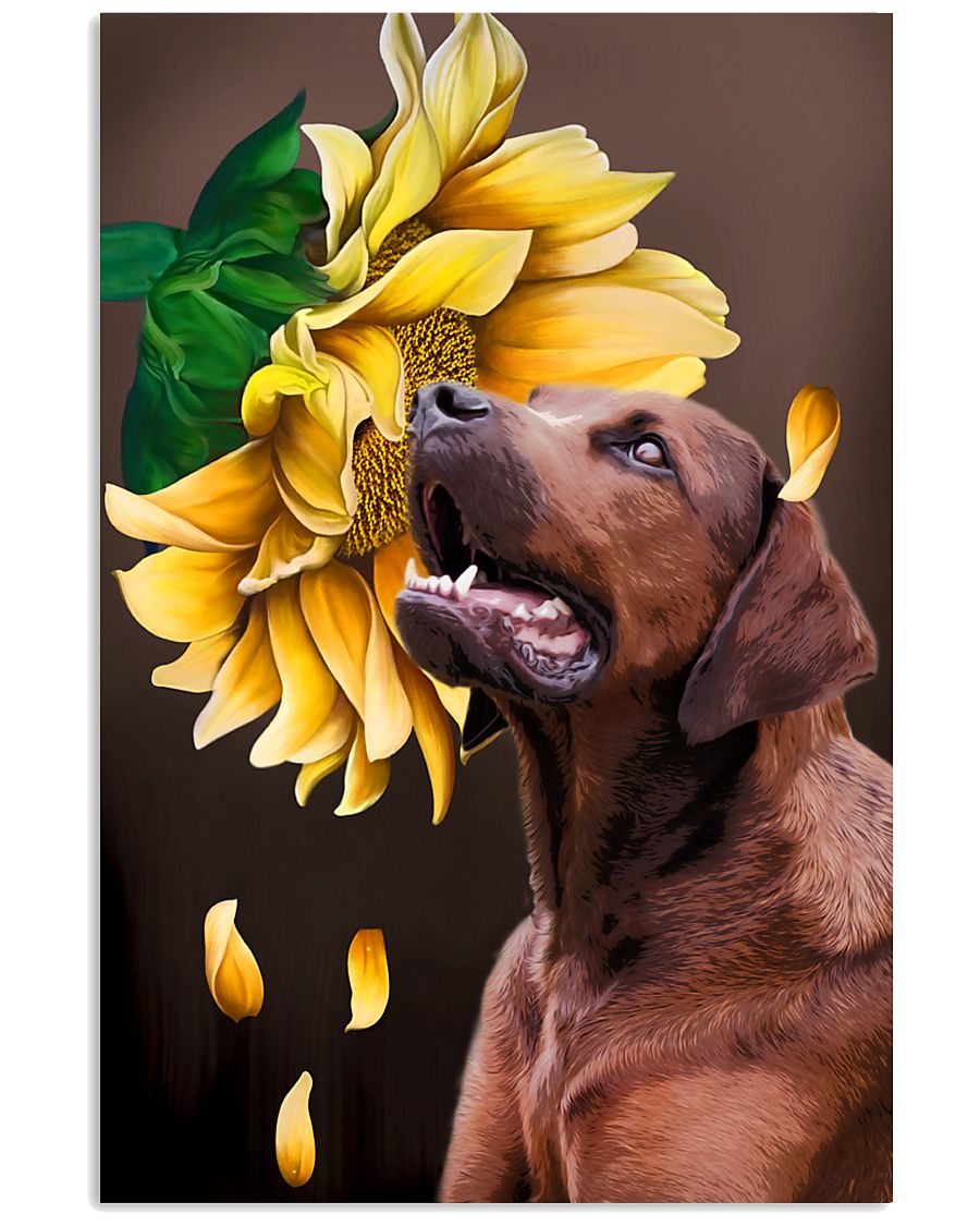 Redbone Coonhound Sunflower 11x17 Poster
