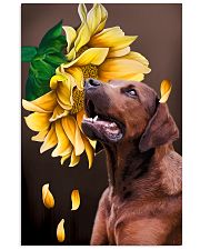 Redbone Coonhound Sunflower 11x17 Poster front