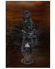 Cane Corso Believe 11x17 Poster front