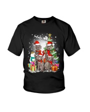 Weimaraner Family Xmas 0310 Youth T-Shirt thumbnail