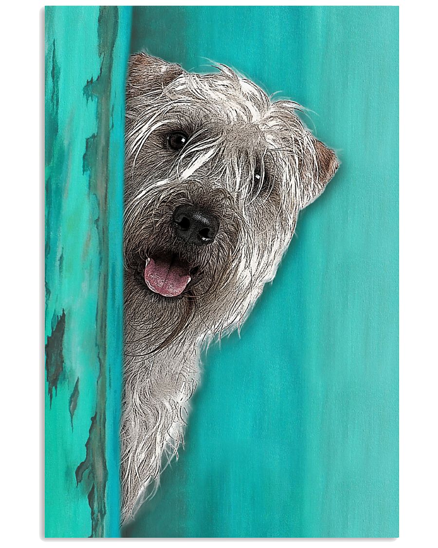 Soft Coated Wheaten Terrier Gorgeous 11x17 Poster