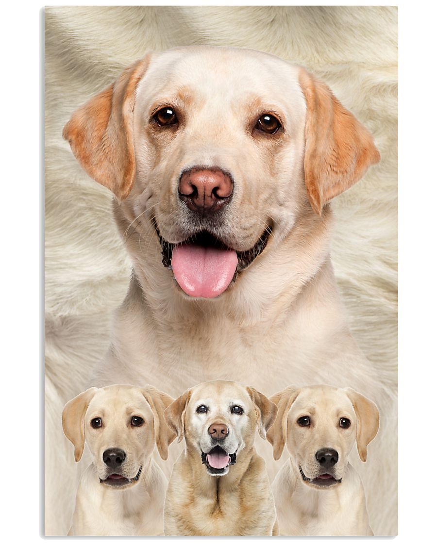 Labrador Retriever Awesome 1512 11x17 Poster
