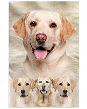 Labrador Retriever Awesome 1512 11x17 Poster front