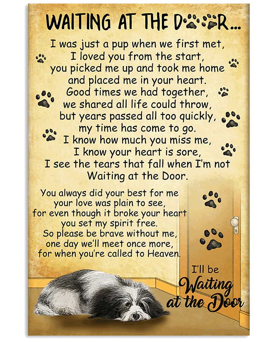 Havanese Waiting At The Door Poster 22012 11x17 Poster