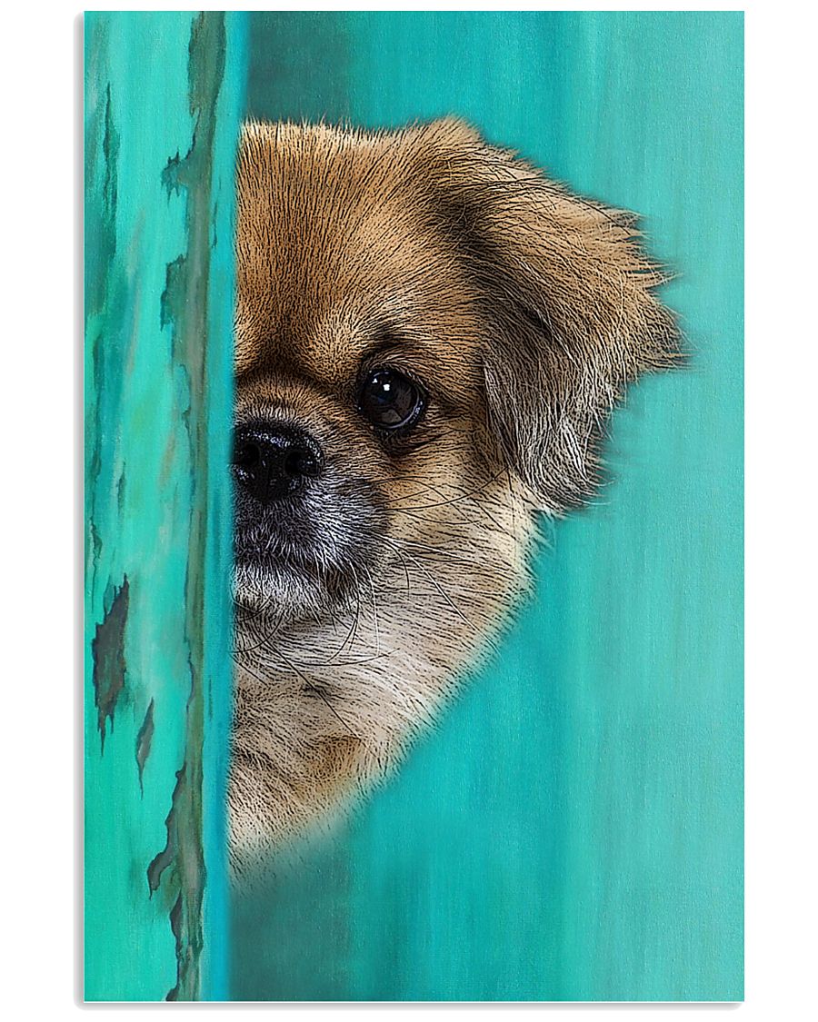 Tibetan Spaniel Gorgeous Poster 1701 11x17 Poster