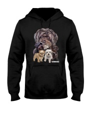 Schnoodle Awesome Family 0701 Hooded Sweatshirt thumbnail