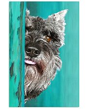 Standard Schnauzer Gorgeous Poster 1701 11x17 Poster front