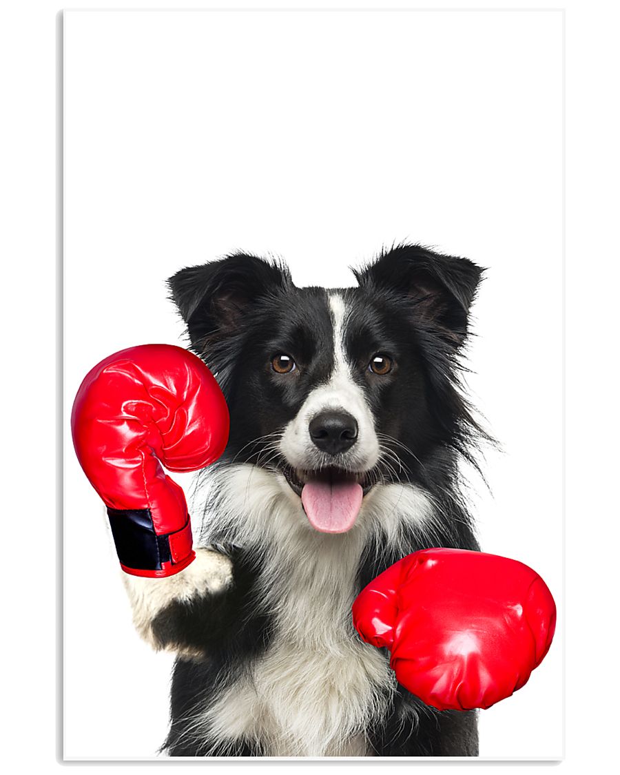 Border Collie Boxing Poster 1812 11x17 Poster