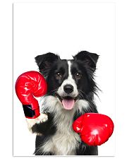 Border Collie Boxing Poster 1812 11x17 Poster front
