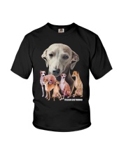 Italian Greyhound Awesome Family 0701 Youth T-Shirt thumbnail