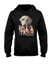 Italian Greyhound Awesome Family 0701 Hooded Sweatshirt thumbnail