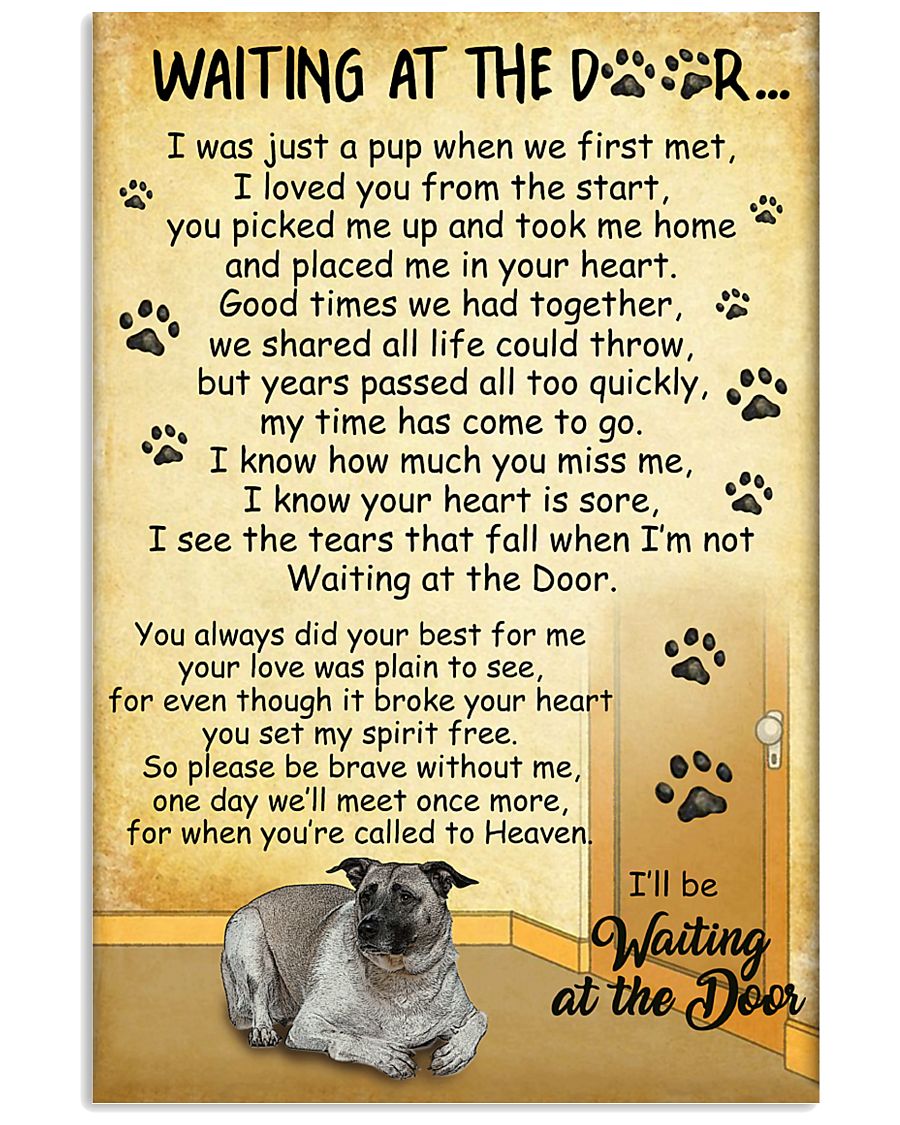 Anatolian-Shepherd Waiting At The Door Poster 2201 11x17 Poster