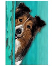 Shetland Sheepdog Gorgeous 11x17 Poster front