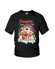 Labrador Retriever Snowflakes Are Kisses 0510 Youth T-Shirt thumbnail