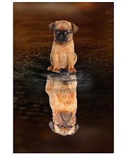 Griffon Bruxellois Believe 11x17 Poster front