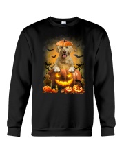 Golden Retriever And Pumpkin Crewneck Sweatshirt thumbnail