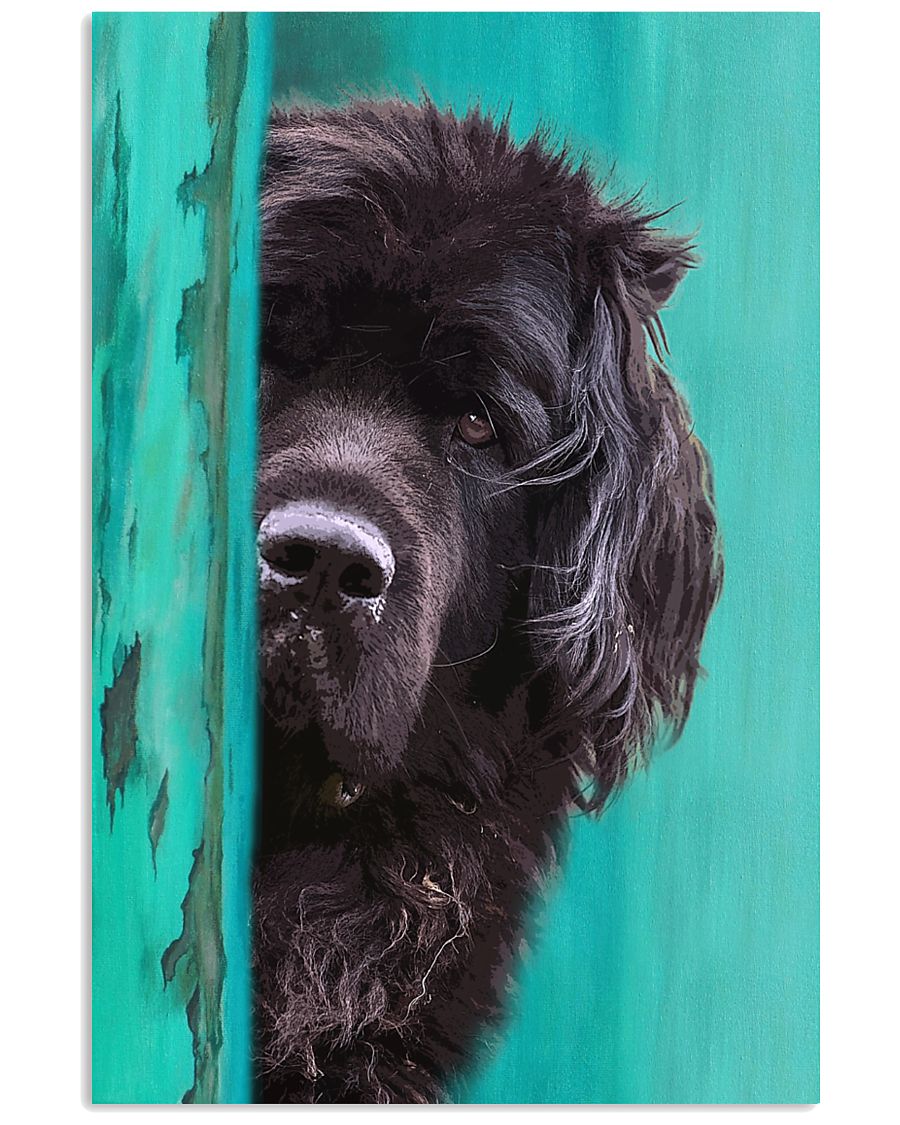 Newfoundland Gorgeous Poster 2501 11x17 Poster