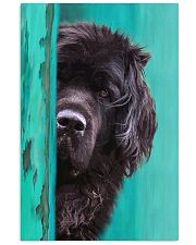 Newfoundland Gorgeous Poster 2501 11x17 Poster front