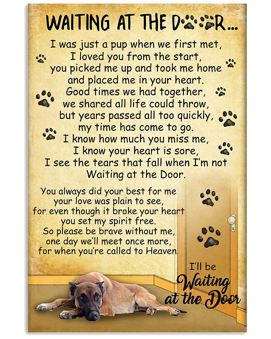 Belgian Malinois Waiting At The Door Poster 2301 11x17 Poster