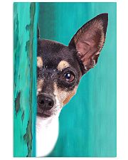 Toy Fox Terrier Gorgeous Poster 1701 11x17 Poster front