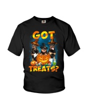 Rottweiler Got Treat 0108 Youth T-Shirt thumbnail