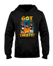 Rottweiler Got Treat 0108 Hooded Sweatshirt thumbnail