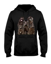 Newfoundland Five Hooded Sweatshirt thumbnail