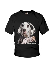 Great Dane Awesome Family 0701 Youth T-Shirt thumbnail