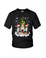 Border Collie Family 2109 Youth T-Shirt thumbnail