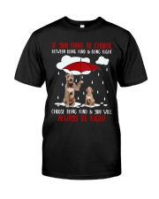 Be Kind American Pit Bull Terrier Classic T-Shirt front
