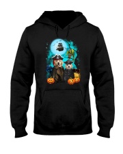 Golden Retriever Pirate 2308 Hooded Sweatshirt thumbnail