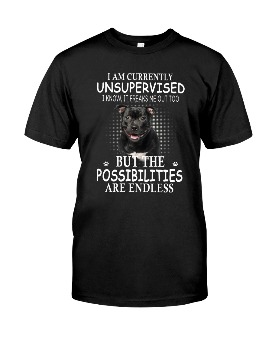 Staffordshire Unsupervised 1503 Classic T-Shirt