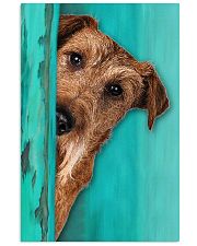 Irish Terrier Gorgeous 11x17 Poster front