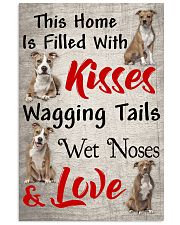 American Staffordshire Terrier Wet Noses 1501 11x17 Poster front