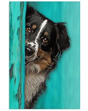 Miniature Australian Shepherd Gorgeous 11x17 Poster front