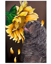 Bergamasco Shepherd Sunflower 11x17 Poster front