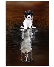Border Collie Believe 11x17 Poster front