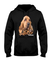 Bloodhound Awesome Family 0501 Hooded Sweatshirt thumbnail