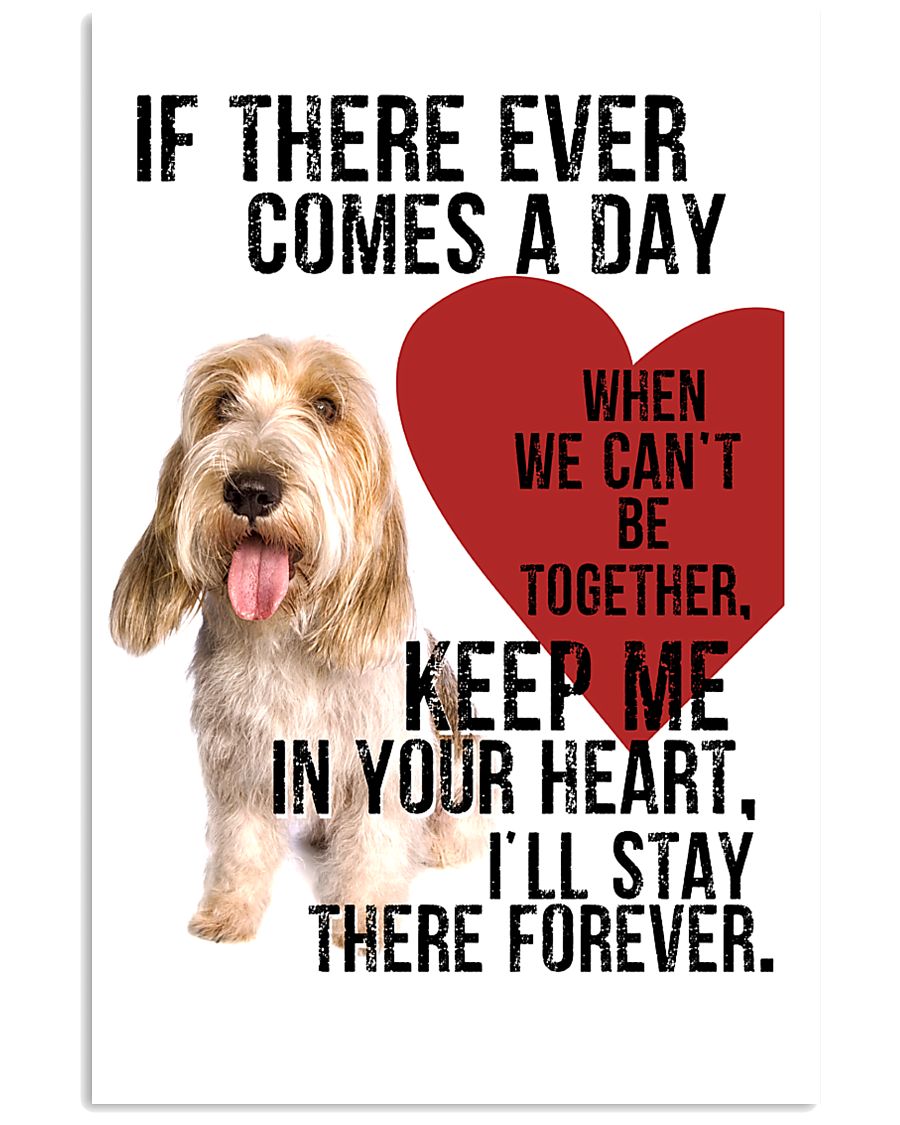 Petit Basset Griffon Vendeen In My Heart 11x17 Poster