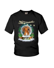 Dachshund and snowball Xmas Youth T-Shirt thumbnail