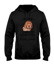 English Cocker Spaniel trying to be awesome 180319 Hooded Sweatshirt thumbnail