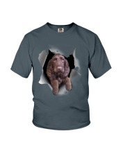 Field Spaniel Scratch Hole Mug 2801 Youth T-Shirt thumbnail