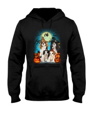 Gaea - Cavalier King Charles Spaniel Halloween Hooded Sweatshirt thumbnail