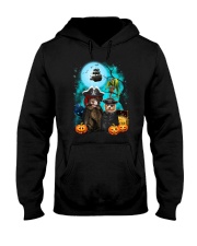 Havanese Pirate 2308 Hooded Sweatshirt thumbnail