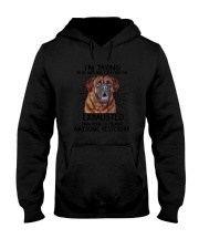 Mastiff trying to be awesome 180319 Hooded Sweatshirt thumbnail